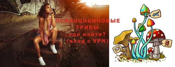 экстази Белокуриха