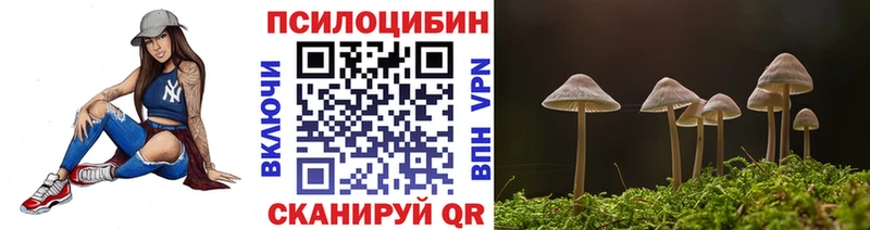 Галлюциногенные грибы GOLDEN TEACHER  наркошоп  мега вход  Партизанск 