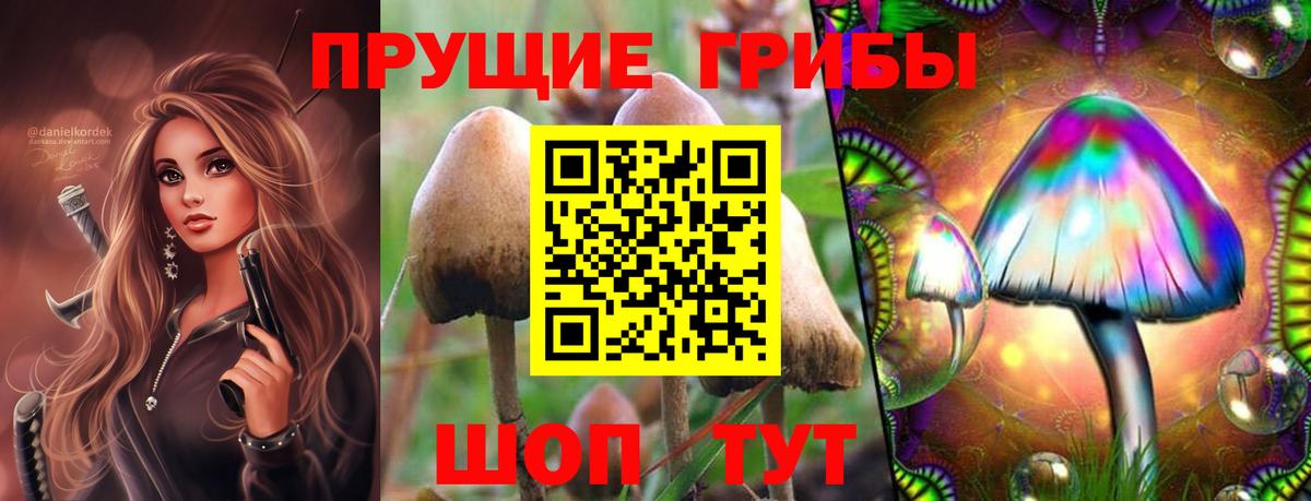 Галлюциногенные грибы ЛСД  Галлюциногенные грибы Psilocybe  Вход с VPN  Партизанск 