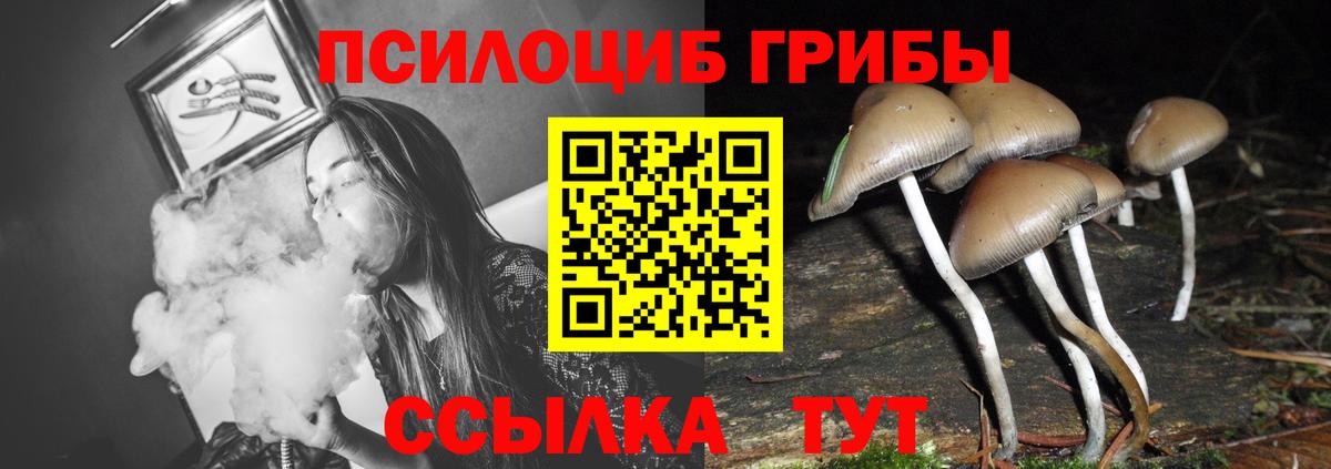 Галлюциногенные грибы Psilocybine cubensis Партизанск